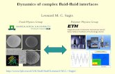Dynamics of complex fluid-fluid interfaces · GENERIC for multiphase systems with complex interfaces: Reversible dynamics for bulk phase and interface variables Dissipative processes