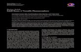 Review Article Schiff Bases: A Versatile …downloads.hindawi.com/archive/2013/893512.pdfsynthesis, polymer stabilizers, and corrosion inhibitors. e present review summarizes information