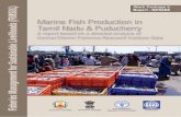 FISHERIES MANAGEMENT FOR - COnnecting REpositories · Fisheries Management for Sustainable Livelihoods (FIMSUL), is a project implemented by the Food and Agriculture Organization