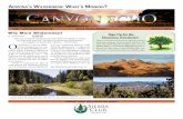 A Wilderness: W Missing - Sierra Club · Theme of “Arizona’s Wilderness: Management Challenges” Articles, art, photographs, poetry, essays, and brief epiphanies are welcome.