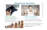 Behavioral Genetics sample - Hong Kong University of ... · Behavioral Genetics Environment Sample from Dr. Amy Kwok How do these interact to shape what we are now? From basic behaviors