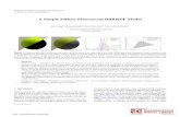A Simple Diffuse Fluorescent BBRRDF Model · 2018-09-04 · Workshop on Material Appearance Modeling (2018) H. Rushmeier and R. Klein (Editors) A Simple Diffuse Fluorescent BBRRDF