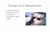 Kayapo Soil Management - Eprida Files/SHecht.pdf · 2004-10-23 · Kayapo Soil Management: • Urban and Rural Practices for the Creation of Amazonian Dark Earths • Four large classes