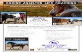 Equine Assisted Life coaching - Heroes and Horses · 2016-08-02 · Equine Assisted Life coaching Off the Couch. . . Into the Arena Heroes & Horses. is a uniquely developed program