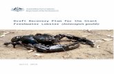 Draft Recovery Plan for the Giant Freshwater …€¦ · Web viewThe giant freshwater lobster is endemic to rivers of northern Tasmania. This species requires well-shaded streams