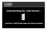 Understanding the .mobi DomainUnderstanding the .mobi Domain … and How It Will Finally Make the Internet Mobile dotMobi (mTLD Top Level Domain Ltd.) 2 The world is growing more and