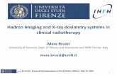 Hadron Imaging and X-ray dosimetry systems in clinical ...ssfm.fisica.unimi.it/Didattica/SSFM Colloquia 2019... · Outline M. Bruzzi, Scuola di Specializzazione in Fisica Medica,