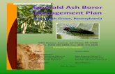 Ash Grove Emerald Ash Borer Management Plan Emerald Ash ... · No person, firm, or corporation shall prevent, delay or interfere with the City Forester or his/her staff while they