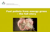 Fuel pellets from energy grass – the full storyProcess optimization of combined biomass torrefaction and pelletization for fuel pellet production — A parametric study Magnus Rudolfssona.