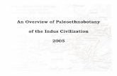 An Overview of Paleoethnobotany of the Indus Civilization 2005 · 1.Wood charcoal 2.Phytoliths 3.Plant Impressions 4.Pollen 5.Inferences from Artifacts 6.Inferences from Bones 7.Ethnographic