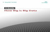How Big is Big Datadocs.media.bitpipe.com/io_10x/io_107360/item_613433/OMGPHD_B… · into the big data world, including the storage and database concepts such as NoSQL, virtualization