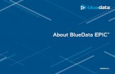 About BlueData EPICTM - Amazon S3...data, or clusters based on departments and/or roles. The result is a secure, multi-tenant infrastructure. • Self-service portal: EPIC includes