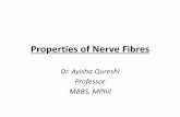 Properties of Nerve Fibres - WordPress.com · a “nerve trunk”& NOT a nerve fibre: • An action potential having more than one peak/spike is called a Compound action potential.