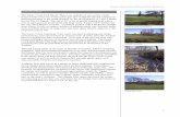 Fanno Creek Park Master Plan - University of Oregon · The Fanno Creek Park Master Plan is an analysis of one section of the ... amphibians, and reptiles; increases in-stream habitat