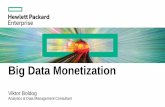 Big Data Monetization - BI Consultingbiconsulting.hu/letoltes/2016budapestdata/boldog_viktor_bigdata.pdf · with Big Data Build a Data-Centric Foundation Discover the Value ... Hadoop