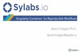 Singularity Containers for Reproducible Workﬂows david ... · Designed Speciﬁcally for Compute Drop-in compatibility with nearly every environment Native support for: GPUs, Inﬁniband,