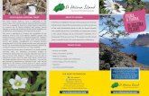 31153 FAUNA & FLORA 5 - sainthelenaisland.infosainthelenaisland.info/tourism2016florafauna.pdf · FLORA & FAUNA St Helena island has an incredible range of wildlife; its isolation