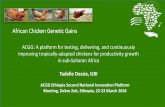 African Chicken Genetic GainsACGG: A platform for testing, delivering, and continuously improving tropically-adapted chickens for productivity growth in sub-Saharan Africa Tadelle
