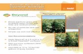 Beyond Herbicide in Clearfield Sunflowernuseed.com/wp-content/uploads/2015/01/Beyond-Sunflower-TIB.pdf · Beyond® Herbicide in Clearfield® Sunflower Technical Information Bulletin