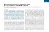 Promoter Elements Regulate Cytoplasmic mRNA Decay · 2012-01-14 · Promoter Elements Regulate Cytoplasmic mRNA Decay Almog Bregman,1 Moran Avraham-Kelbert,1 Oren Barkai,1 Lea Duek,1