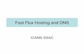 PowerPoint Presentation - Fast Flux Hosting and DNSarchive.icann.org/en/meetings/delhi2008/files/... · 2009-11-19 · fast flux hosts –Fast flux is designed to thwart these activities