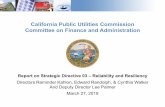 California Public Utilities Commission Committee on Finance and … · 2019-03-26 · California Public Utilities Commission Committee on Finance and Administration Report on Strategic