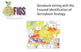 Genebank mining with the Focused Identification of ...€¦ · Identification of germplasm strategy (FIGS) detects wheat stem rust resistance linked to environmental variables. Genetic