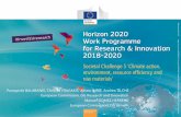 Societal Challenge 5 'Climate action, environment ...€¦ · Societal Challenge 5 'Climate action, ... raw materials' Horizon 2020: Final 3 years of implementation Work Programme