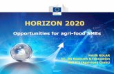 HORIZON 2020 - FEDERALIMENTARE · Societal Challenge 2 (SC2) Work Programme 2014-2015 ... The Horizon 2020 SME instrument • New funding instrument (not available during FP7) •
