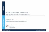 NATURAL GAS MARKET SUMMER OUTLOOK 2019€¦ · NATURAL GAS MARKET SUMMER OUTLOOK 2019 MAY 2019 Prepared for: NATURAL GAS SUPPLY ASSOCIATION Prepared by: ENERGY VENTURES ANALYSIS Henan