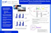 Ames-Express Human Xenobiotic Metabolism System TM PDF... · Ames-Express Human Xenobiotic Metabolism System Internal CYP 450 1A2 Bio-Activation 6800 Campobello Rd Mississauga, Ontario