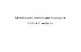Membranes, membrane transport. Cell-cell contactszsuzsanna.emri.uni-eger.hu/.../uploads/cellmembrane... · Membranes, membrane transport. Cell-cell contacts . Membrane lipides: Phospholipids