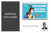 MailChimp From Scratch - MailChimp account from scratch â€¢ Basic MailChimp account settings â€¢ The