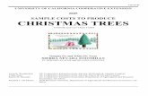 SAMPLE COSTS TO PRODUCE CHRISTMAS TREES · The assumptions refer to Tables 1 to 11 and pertain to sample costs to produce Christmas trees in the Sierra Nevada Foothills – El Dorado,