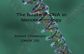 “DNA” the future of Nanotechnologyleung.uwaterloo.ca/CHEM/750/talks/Avisek DNA.pdf · DNA Structure • Helical structure of DNA • Major & minor groves. • 10Å radius & 20Å