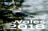 Cymru - BTO - British Trust for Ornithology · 2 The State of Birds in Wales 2018 The state of birds in Wales 2018 3 Contents All bird species are shown in bold.There are now 55 species