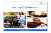 The Teenage Pregnancy Journey - Catch22€¦ · The Teenage Pregnancy Journey Community Links 5 supports with financial issues such as housing and welfare benefits to help pay for