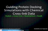  · Introduction Protein-protein docking troublesome due to large conformational space and imperfect scoring functions experimental constraints can be key in producing close native