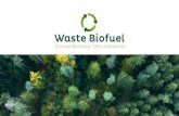 Waste Biofuel Biodiesel 3rd Generation (Co2) Renewable Energy (Electric Car) Liquefied Petroleum Gas