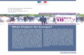 What Project for Europe? - strategie.gouv.fr · 2017-04-11 · the effect of differing collective choices in terms of the number of hours worked annually, the sustainability of the
