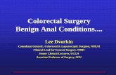 Colorectal Surgery Benign Anal Conditions · Colorectal Surgery Benign Anal Conditions.... Lee Dvorkin Consultant General , Colorectal & Laparoscopic Surgeon, NMUH ... • Internal