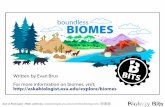 Ask A Biologist - Biology Bits - Biomes ... Ask A Biologist I Web address: Bits You might think deserts