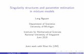 Singularity structures and parameter estimation in mixture ...dept.stat.lsa.umich.edu/~xuanlong/Talks/B_singular_NUS.pdf · Otherwise it is worse, especially if the true model is