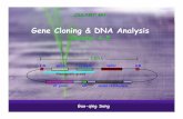 T-DNA LB RBauxin cytokin opine Oncogenic genes cloning ch 4-5 (2010).pdfCh 5 Introduction of DNA into Living Cells The basic steps in gene Plasmids cloning: 1 Vector C(h2 3 6 7) Selecting