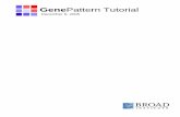 GenePattern User's Guide: Graphical Environment...GenePattern 2.0 Tutorial In this tutorial you will learn how to use the features of GenePattern, including: How to use GenePattern
