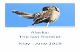 Alaska: The last frontier May - June 2019 Sibley Birds 2nd Edition app (via Google Play) The Sibley Field Guide to Birds of Western North America (Sibley, 2003) A birder’s guide