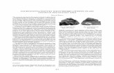 ANNALES du 15e CongrÃ¨s de l'Association Internationale ... · Chemical analysis places the bead fragment and a sample of the polychrome vessel fragments in the same group, with