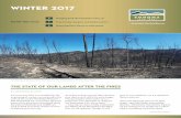 winter 2017 - Sonoma Land Trust€¦ · winter 2017 … to protect the land forever Fire damage at the top of Glen Oaks Ranch in the Sonoma Valley. Photo by Tony Nelson. Inside this