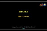 SHARKS - liyunkai.net 5 Shark families.pdf · Silky sharks live all over the world in tropical oceans and are most common in shallow waters less then 200 m deep. Millions of the fins