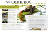 WHERE DO ANIMALS LIVE? - WeAreTeachers · BEARS live in the forests and mountains of South America. GRIZZLY BEARS live in the forests, mountains, meadows, and polar regions of Alaska,